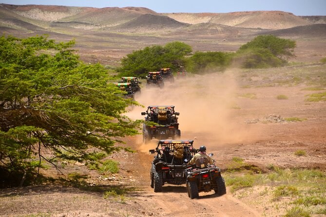2h SSV Buggy Desert Adventure - 1000cc or 500cc - Serra Negra and the black mountain view