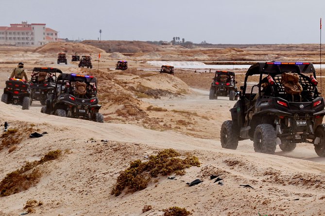 2h SSV Buggy Desert Adventure - 1000cc or 500cc - Ponta Preta, surfers, and black volcanic rock