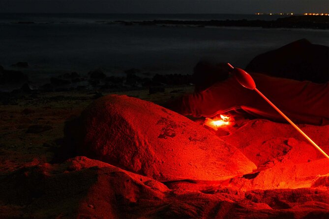 4h Turtle Watching with SSV Buggy Night 4WD - Kite Beach in winter and summer