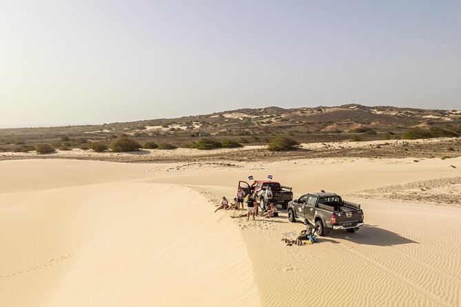 4WD Boa Vista group day tour south and north with sandboarding - Caves and seabirds at Praia da Varandinha