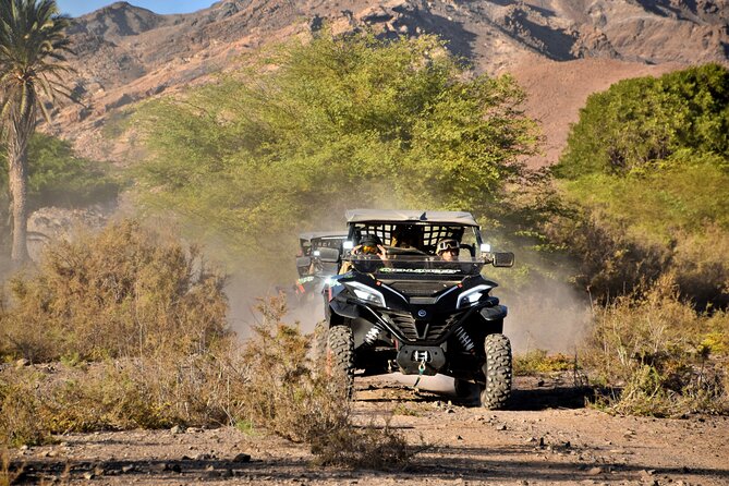 Boa Vista 2h Buggy Death Valley Adventure 1000cc - Fonte Vicente and the baobab tree