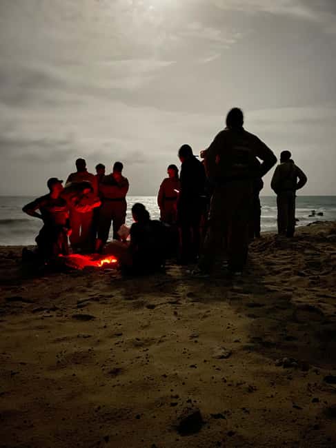 Boa Vista: 3h Turtle Watching Expedition - Key points to know before you book
