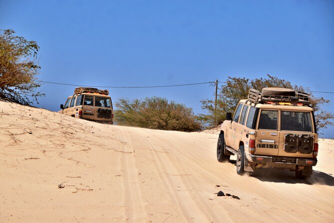 Boa Vista: 4h North Jeep Expedition Off-Road - Ponta do Sol for the big view