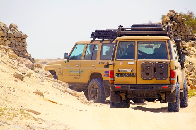Boa Vista: 4h North Jeep Expedition Off-Road - Who will enjoy this outing most