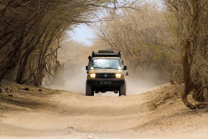 Boa Vista: 4h North Jeep Expedition Off-Road - Starting at No Limits Adventure Boa Vista