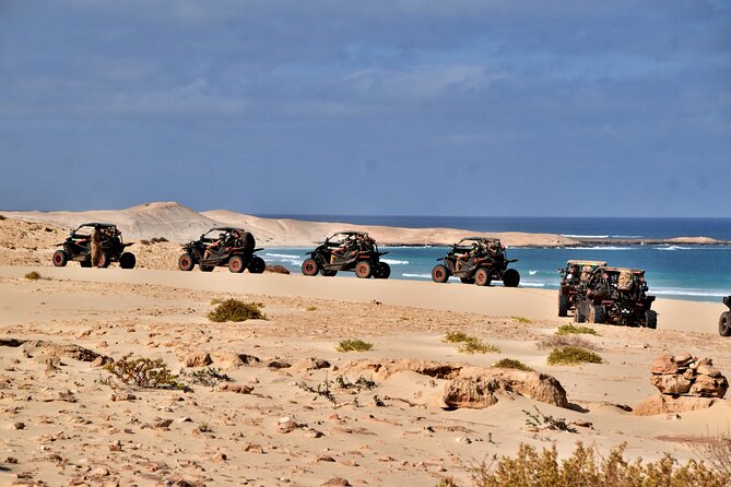 Boa Vista 4h South Buggy Adventure 1000cc - Santa Monica Beach, the route’s grandest stop
