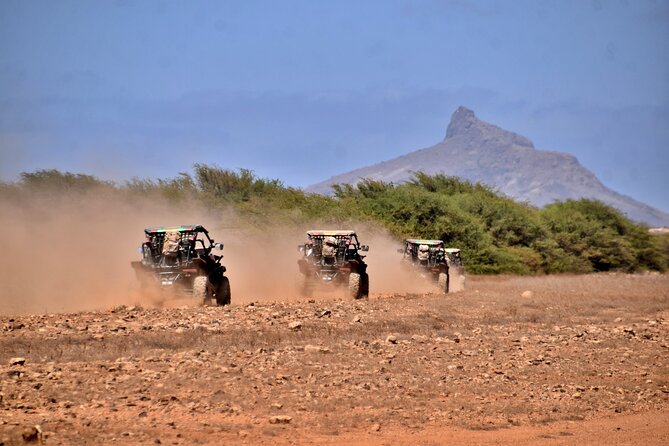 Boa Vista 4h South Buggy Adventure 1000cc - What the 1000cc buggy adds