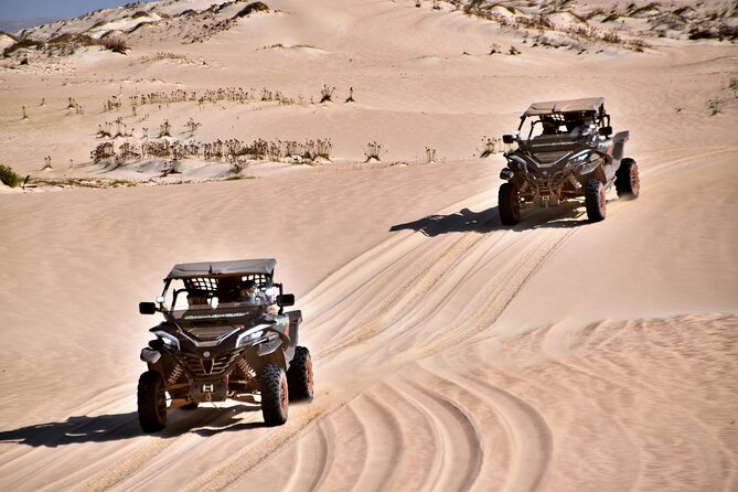 Boa Vista 4h South Buggy Adventure 1000cc - Who will enjoy this most