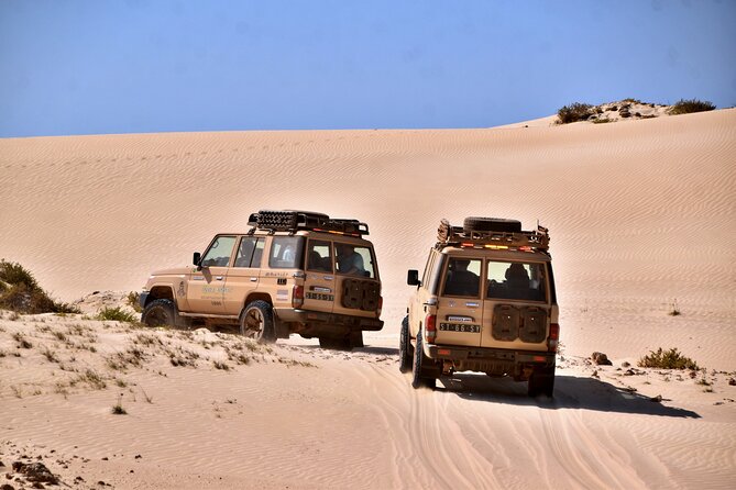 Boa Vista: 4h South Jeep Expedition Off-Road - Praia de Chaves begins with sand and island history