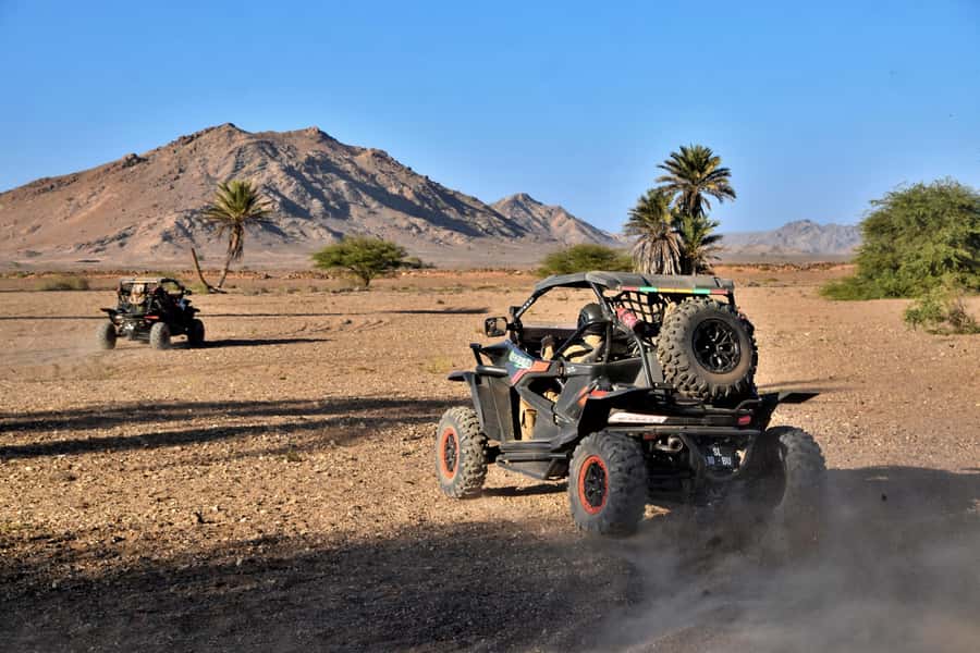 Boa Vista Buggy Tour: Death Valley Adventure (2-Hour) - Who Should Book This Boa Vista Adventure?