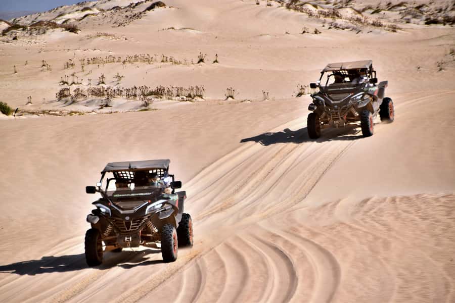 Boa Vista Buggy Tour: Santa Monica & South Desert (4-Hour) - Why this four-hour route works well