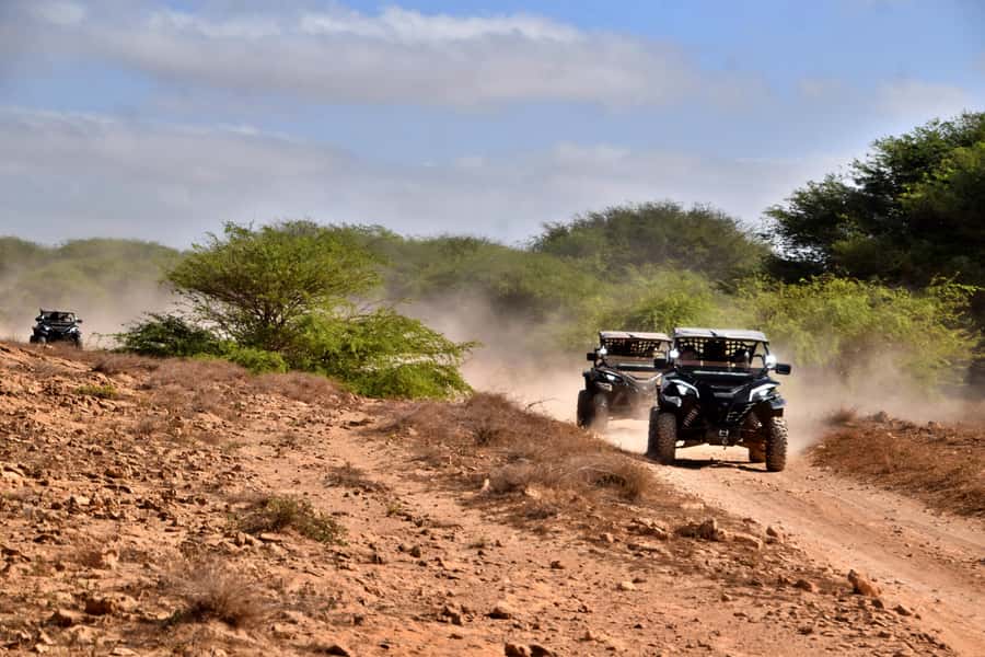 Boa Vista Buggy Tour: Santa Monica & South Desert (4-Hour) - Santa Monica Beach, the long central stop
