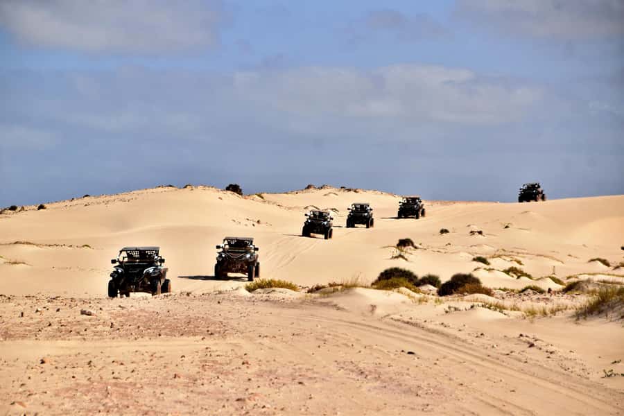 Boa Vista Buggy Tour: Santa Monica & South Desert (4-Hour) - Who should book this Boa Vista buggy tour