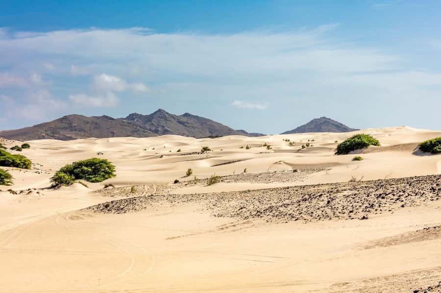 Boa Vista Full Day 4x4 Island Tour with Beachfront Lunch - A four-hour route across Boa Vista