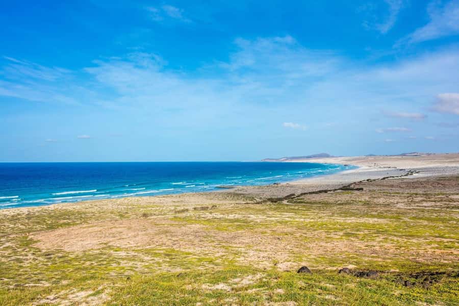 Boa Vista Full Day 4x4 Island Tour with Beachfront Lunch - Beachfront lunch with local dishes