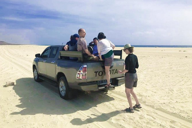 Boa Vista Island: 4-Hour Rabil, Viana Desert & Shipwreck Tour - Who will get the most from this tour
