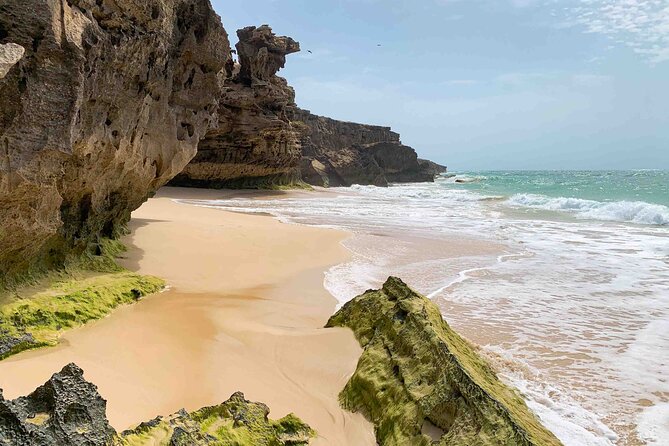 Boa Vista Island: Full Day North to South Discovery - Key points to know before booking