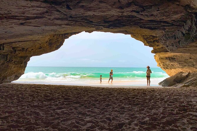 Boa Vista Island: Full Day North to South Discovery - Why this route works for a first day on Boa Vista