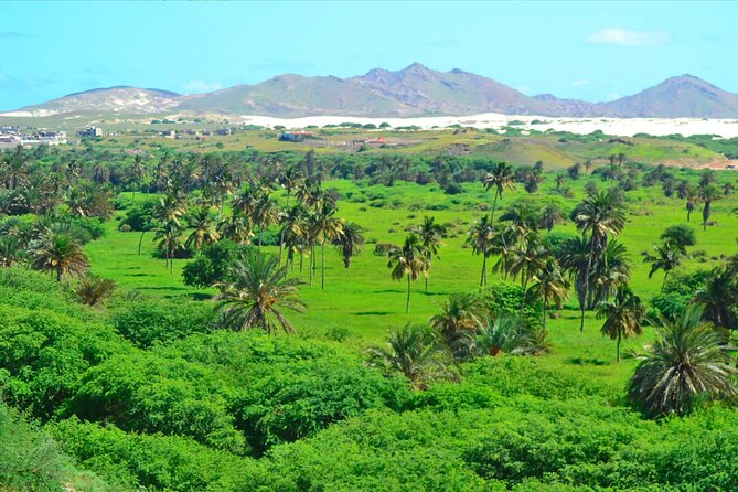 Boa Vista Island: Full-Day Wild Beaches & Viana Desert Experience - Lunch and rural life in Fundo das Figueiras
