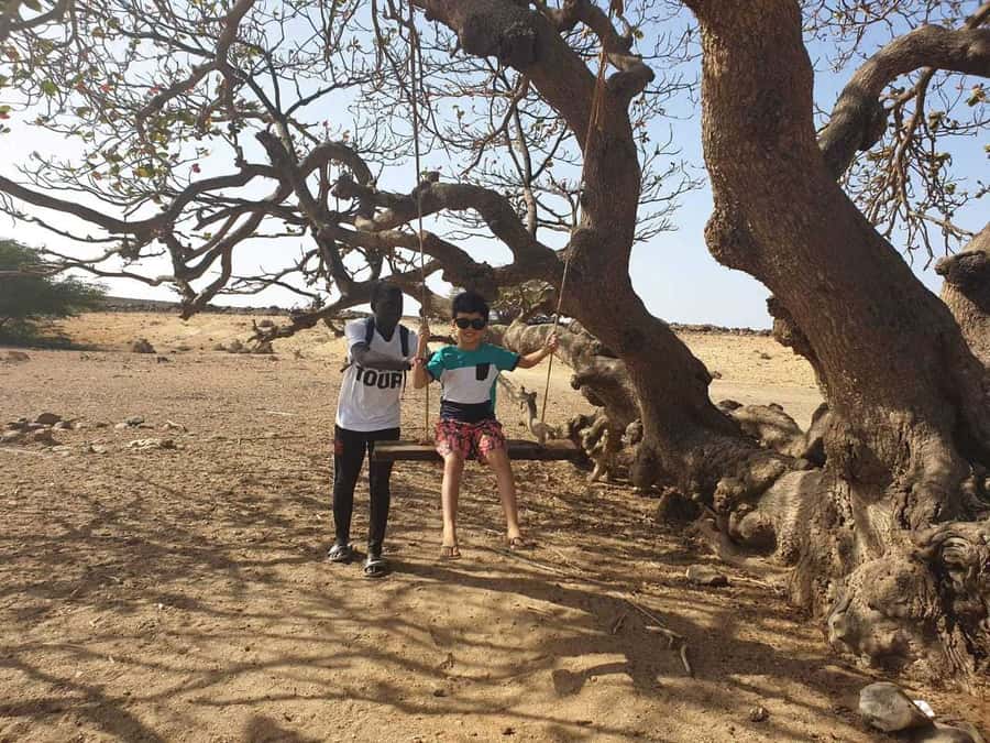 Boa Vista Island: Full-Day Wild Beaches & Viana Desert Tour - Why this day works so well on Boa Vista