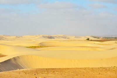 Half-day Northern Tour + Viana Desert Adventure