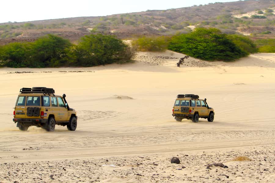 Boa Vista Jeep Expedition: Santa Monica & Desert (4-Hour) - Quick reasons to choose this Boa Vista jeep trip