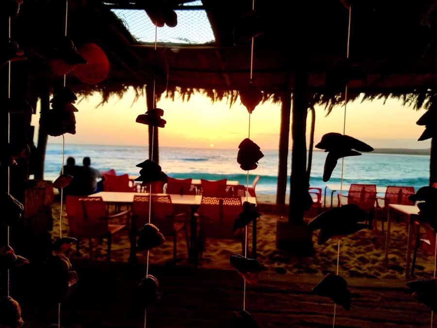 Boa Vista: Lobster Lunch at Santa Monica Beach - The charcoal-grilled lobster meal