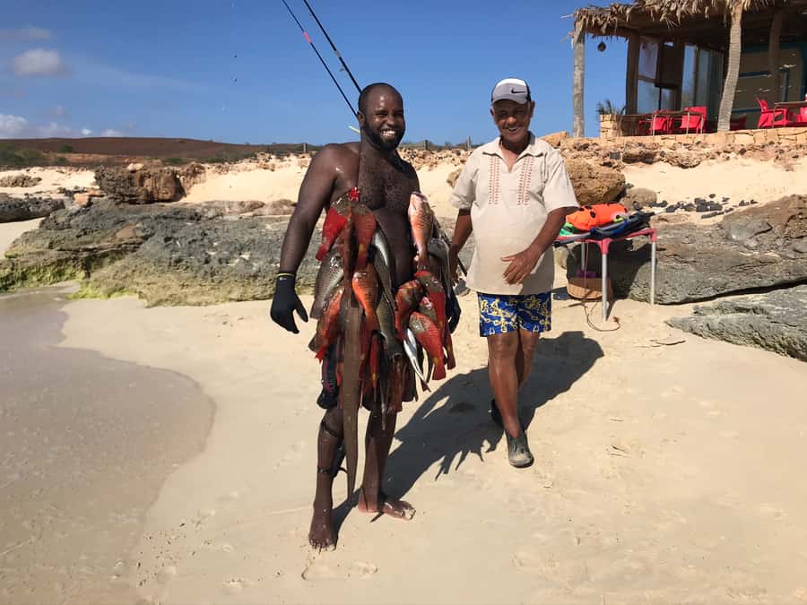 Boa Vista: Lobster Lunch at Santa Monica Beach - Who will enjoy this half-day outing?