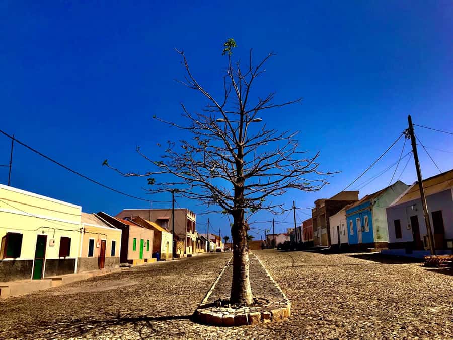 Boa Vista: Santa Monica, Dunes, Caves and Village 4x4 Tour - Who should book this Boa Vista tour?