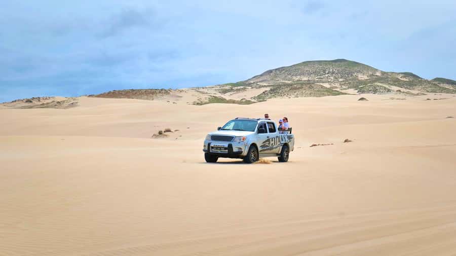 Boa Vista: Shark, Turtles, Cave, Sandboarding & Tasting Tour - A four-hour route through Boa Vista’s wild south
