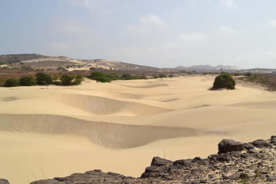 Boa Vista: Shipwreck, 4x4 Ride & Caves Day Tour with Lunch - Riding the 4x4 sands around Chaves Bay