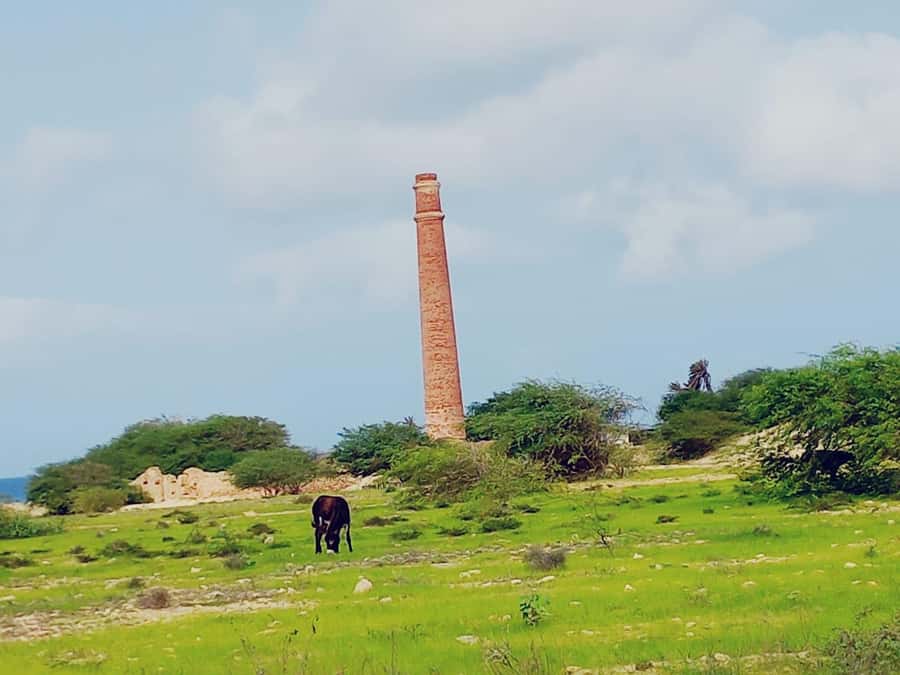 Boa Vista: Shipwreck, 4x4 Ride & Caves Day Tour with Lunch - What the $100 price really buys