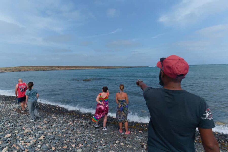 Boa Vista: Snorkeling at Gatas Bay & North East Tour - What the guide and vehicle add