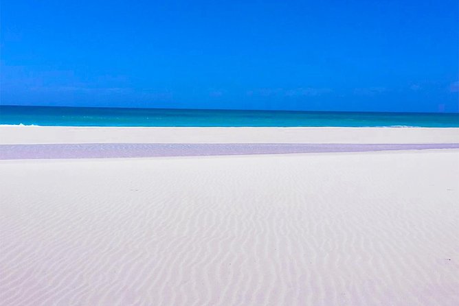 Boa Vista Tour: Santa Mónica, Desert & Shipwreck - Morro de Areia, where dunes meet the Atlantic