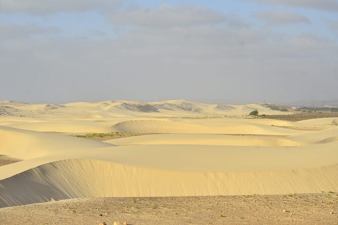 Boa Vista Tour: Santa Mónica, Desert & Shipwreck - Varandinha caves and the force of the sea