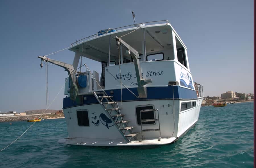 Boa Vista: Whale Watching Trip with Motoryacht - Is $94 a fair price?