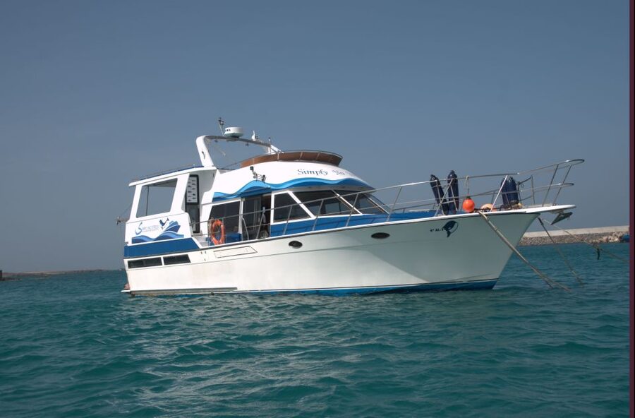 Boa Vista: Whale Watching Trip with Motoryacht - Who will enjoy this trip most?