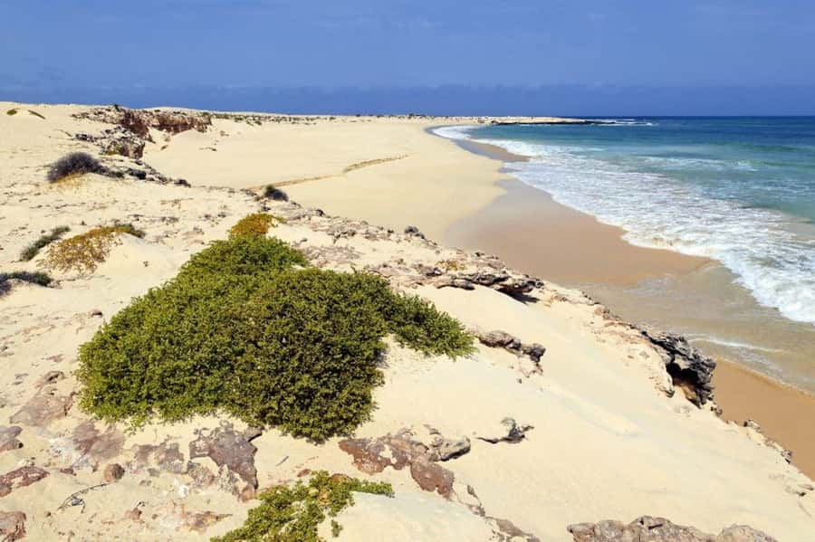 Boavista: 4h Shipwreck, Desert, Fatima Chapel & Pottery Tour - A short route with a lot of Boa Vista