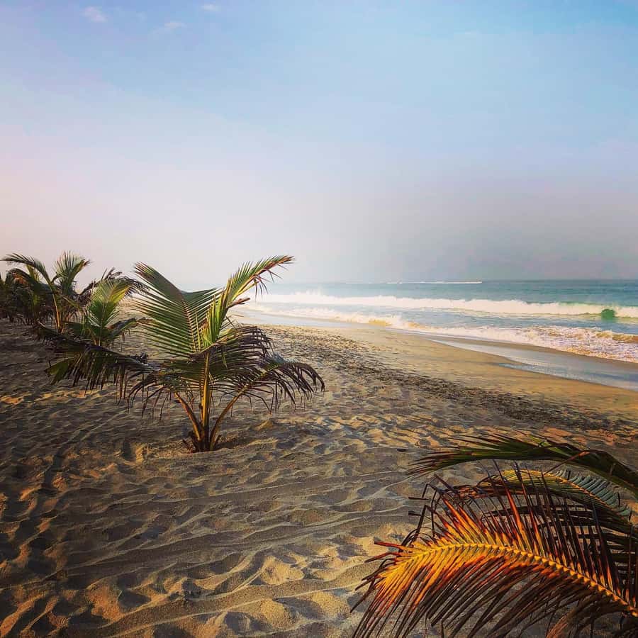 Boavista: Santa Monica beach, Varandinha cave, Sand dunes - Where does Sal Rei fit into the outing?