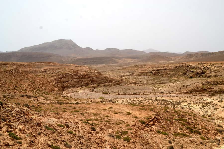 Boavista: Traditional & Local Experience Tour - João Galego and the island’s agricultural side