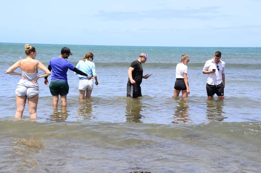 Boavista: Turtle, Shark, Santa Monica, Sandboard & Tasting - Guides make the difference