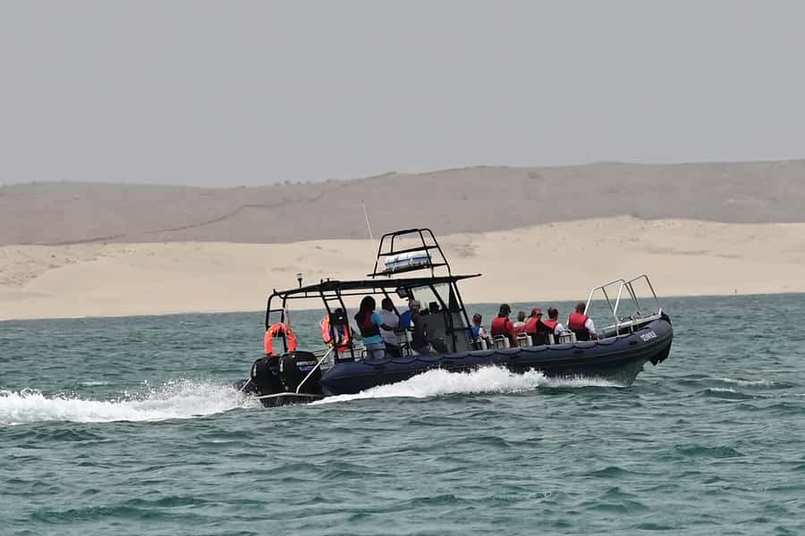 Boavista: Whale Watching half day trip - Returning to the harbor and your hotel