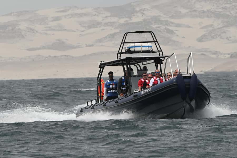 Boavista: Whale Watching half day trip - Booking, cancellation, and practical details