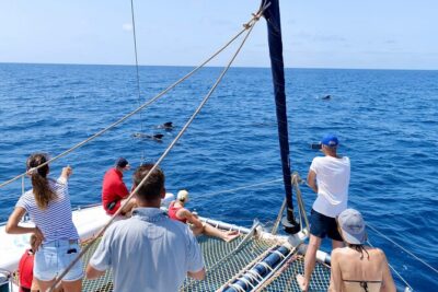 Catamaran Half Day – Beautiful day on the Atlantic Ocean