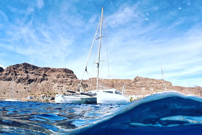 Catamaran Half Day - Beautiful day on the Atlantic Ocean - Who will enjoy this catamaran trip most