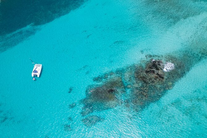 Catamaran Sailing Tour or Whale Watching at Boa Vista - Key points before you book