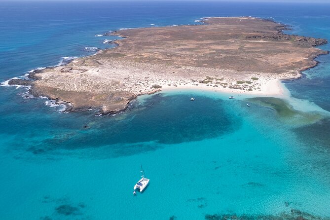 Catamaran Sailing Tour or Whale Watching at Boa Vista - Starting at Praia do Estoril