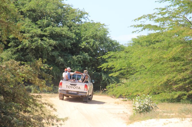 Combi Relax Tour - What the $93.30 price really buys you