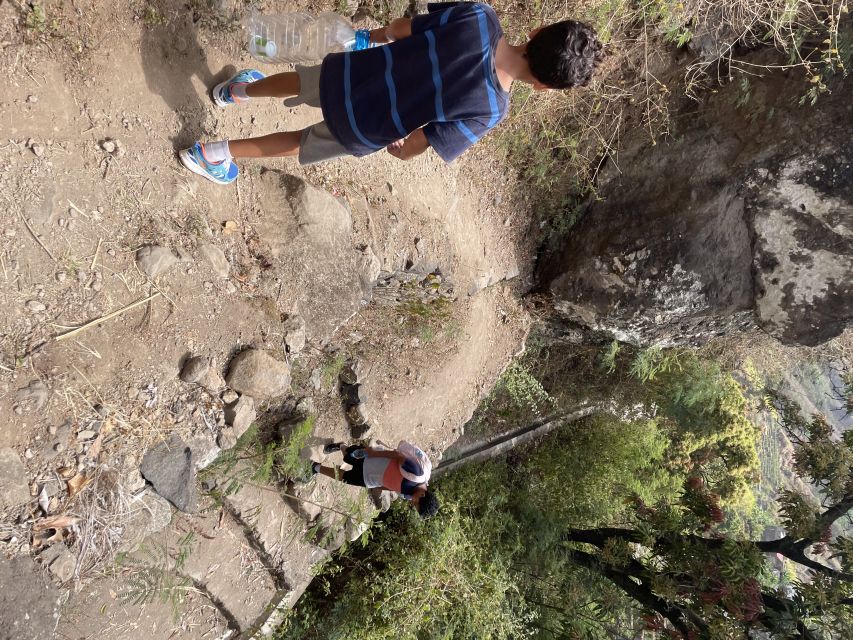 Cova–Paúl Valley Trek: Santo Antão Day Trip by Ferry - Who should book this Santo Antão day trip