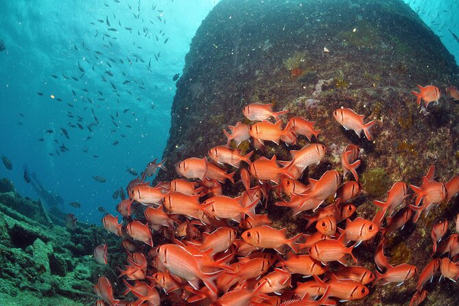 Discover Scuba Diving in Sal - What the equipment and transport include
